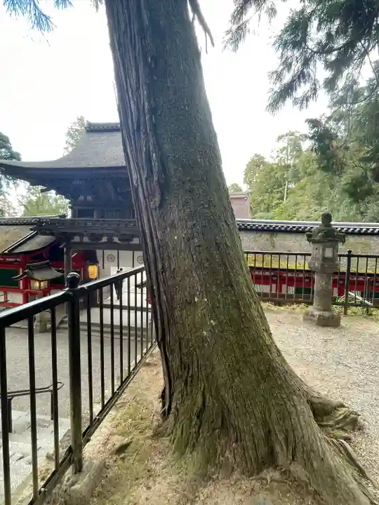 石上神宮(奈良県)