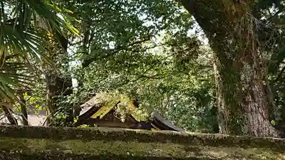 伊賀八幡宮の本殿・本堂