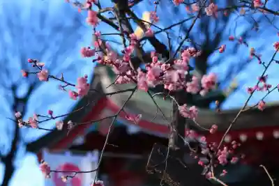川越八幡宮の{uncategorized: "未分類", other: "その他", undefined: "問題あり", building: "その他建物", grave: "お墓", sacred_gate: "鳥居", guardian: "狛犬", statue: "像", buddha: "仏像", history: "歴史", nature: "自然", garden: "庭園", animal: "動物", pagoda: "塔", temizu: "手水舎", mountain_gate: "山門・神門", sanctuary: "本殿・本堂", subordinate: "末社・摂社", art: "芸術", scenery: "景色", jizo: "地蔵", ema: "絵馬", goshuin: "御朱印", omikuji: "おみくじ", items: "授与品その他", amulet: "お守り", goshuincho: "御朱印帳", eats: "食事", festival: "お祭り", votive_dance: "神楽", shichigosan: "七五三参", wedding: "結婚式", experience: "体験その他", initially: "初詣", around: "周辺", anti_infection: "感染症対策"}