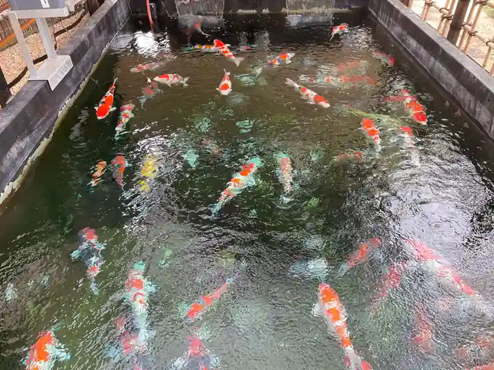 感通寺(東京都)