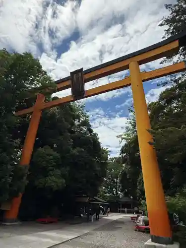 川越氷川神社(埼玉県)