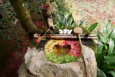 柳谷観音 楊谷寺の手水舎