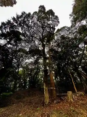 桜井大神宮(福岡県)