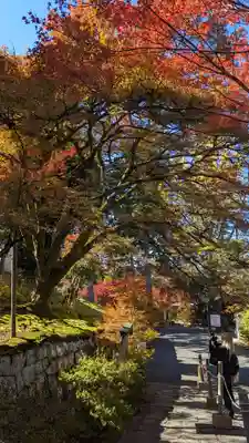 曼殊院門跡(京都府)