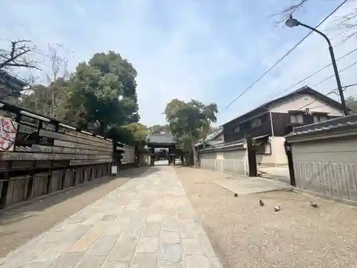 杭全神社(大阪府)