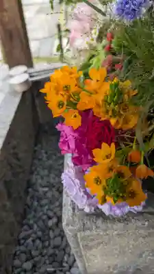 勝林寺(京都府)