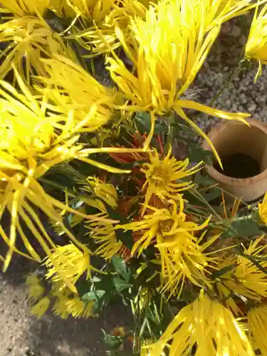 富部神社の自然