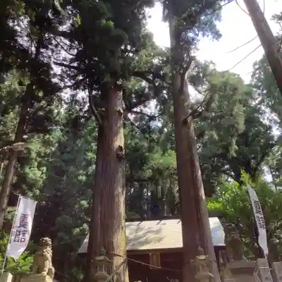 恵那神社(岐阜県)