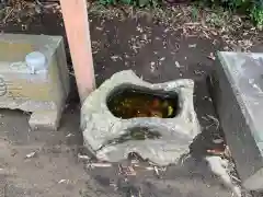 稲荷神社(千葉県)