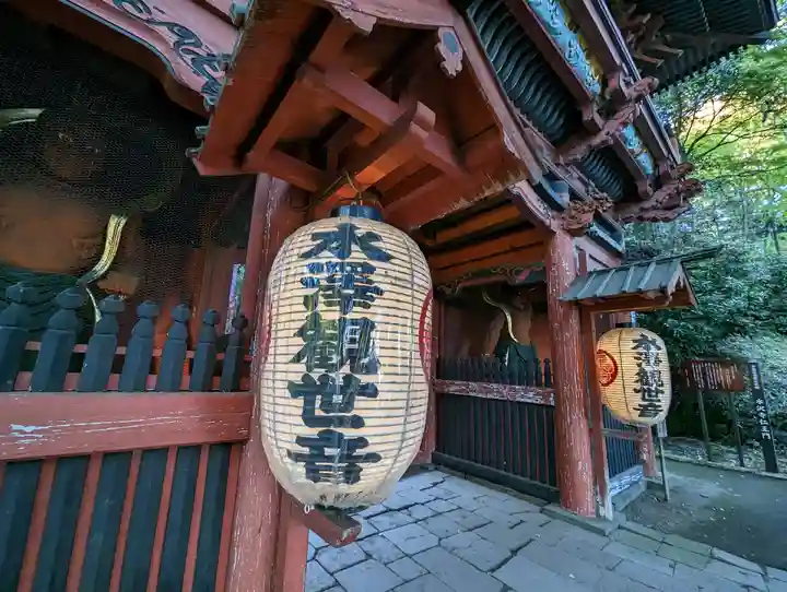 水澤寺(水澤観世音)(群馬県)