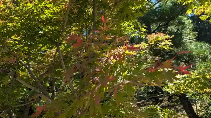 光明寺(粟生光明寺)(京都府)