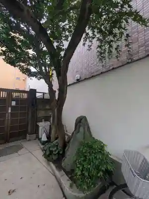 真龍寺(東京都)