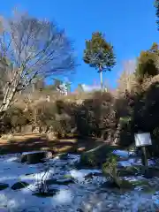 三峯神社(埼玉県)