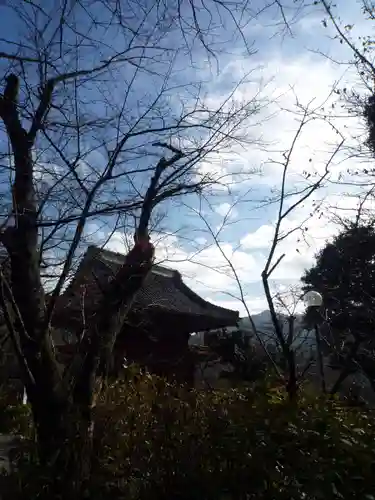 楽法寺（雨引観音）の庭園