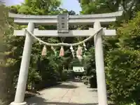 星川杉山神社の鳥居