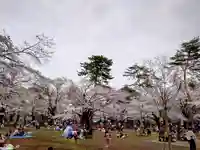 武蔵一宮氷川神社(埼玉県)