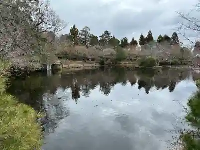 龍安寺の{uncategorized: "未分類", other: "その他", undefined: "問題あり", building: "その他建物", grave: "お墓", sacred_gate: "鳥居", guardian: "狛犬", statue: "像", buddha: "仏像", history: "歴史", nature: "自然", garden: "庭園", animal: "動物", pagoda: "塔", temizu: "手水舎", mountain_gate: "山門・神門", sanctuary: "本殿・本堂", subordinate: "末社・摂社", art: "芸術", scenery: "景色", jizo: "地蔵", ema: "絵馬", goshuin: "御朱印", omikuji: "おみくじ", items: "授与品その他", amulet: "お守り", goshuincho: "御朱印帳", eats: "食事", festival: "お祭り", votive_dance: "神楽", shichigosan: "七五三参", wedding: "結婚式", experience: "体験その他", initially: "初詣", around: "周辺", anti_infection: "感染症対策"}