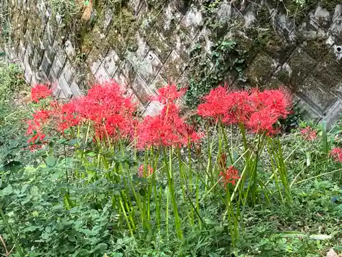 宝城坊(神奈川県)