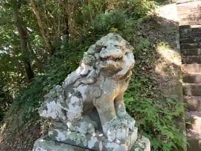 男金神社の狛犬