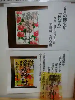 どちらも素敵です🎶