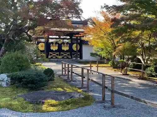 醍醐寺(京都府)