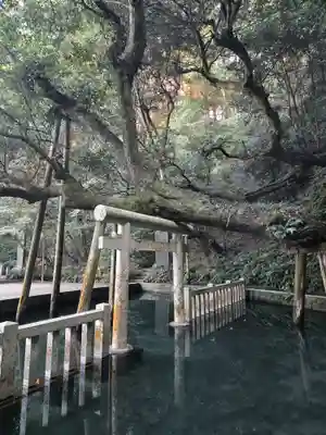 鹿島神宮(茨城県)