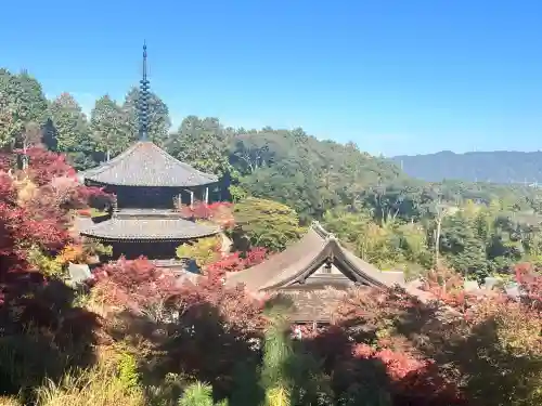 常樂寺(滋賀県)