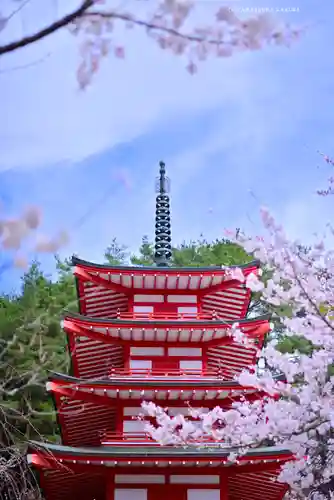 新倉富士浅間神社(山梨県)