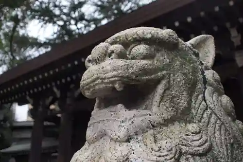 川口神社の狛犬