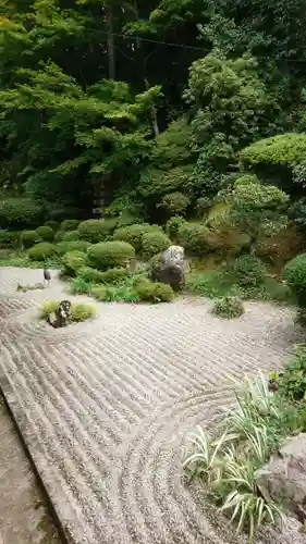 養泉寺の庭園