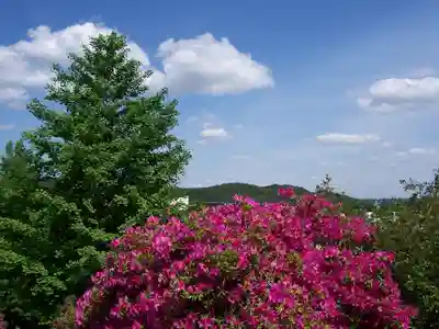 五大尊堂(長徳寺)の自然