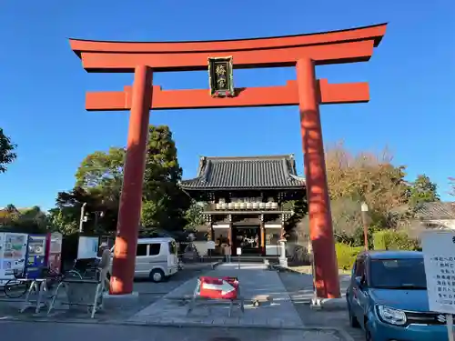 梅宮大社の鳥居