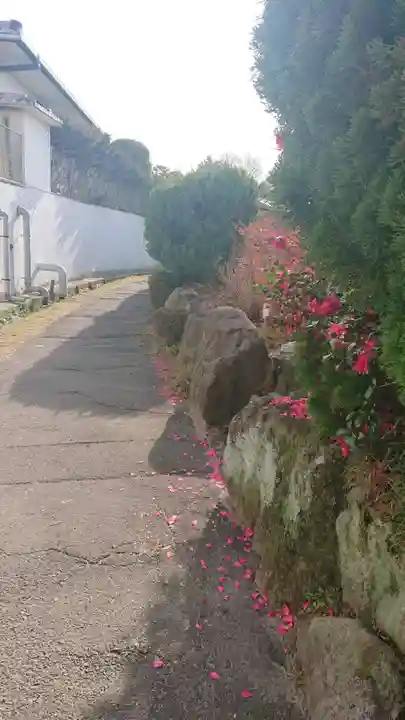 太聖寺のその他建物