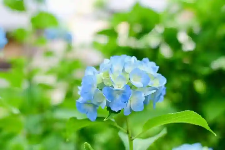 浄土寺(兵庫県)