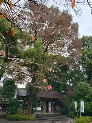 阿佐ヶ谷神明宮(東京都)