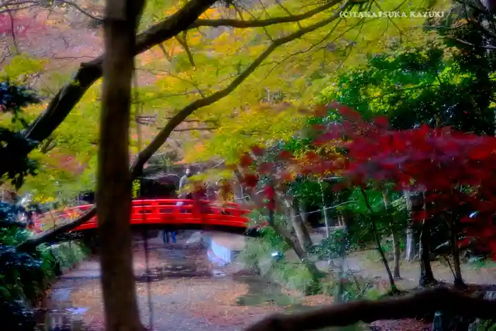 小國神社(静岡県)