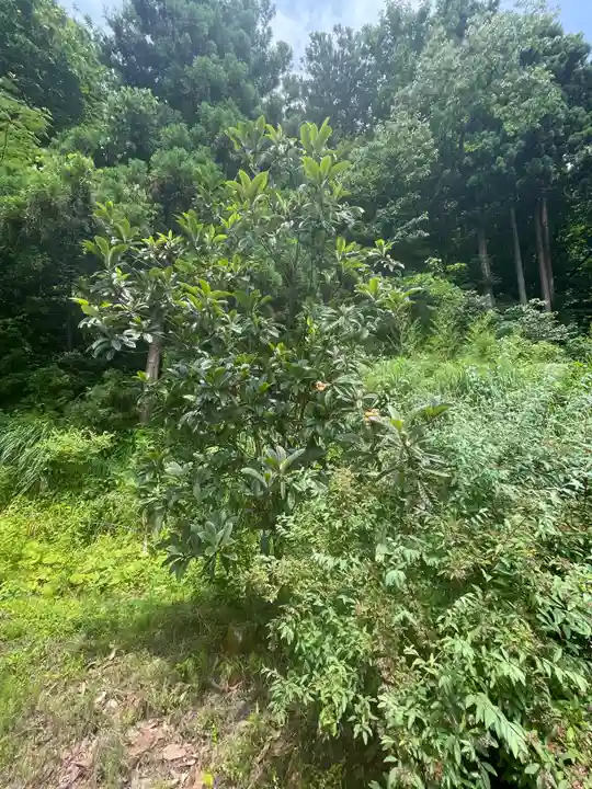 国上寺(新潟県)