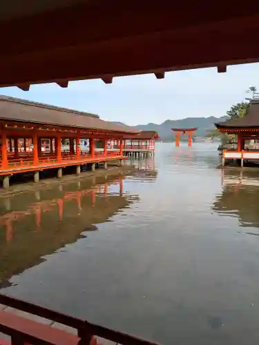 厳島神社の{uncategorized: "未分類", other: "その他", undefined: "問題あり", building: "その他建物", grave: "お墓", sacred_gate: "鳥居", guardian: "狛犬", statue: "像", buddha: "仏像", history: "歴史", nature: "自然", garden: "庭園", animal: "動物", pagoda: "塔", temizu: "手水舎", mountain_gate: "山門・神門", sanctuary: "本殿・本堂", subordinate: "末社・摂社", art: "芸術", scenery: "景色", jizo: "地蔵", ema: "絵馬", goshuin: "御朱印", omikuji: "おみくじ", items: "授与品その他", amulet: "お守り", goshuincho: "御朱印帳", eats: "食事", festival: "お祭り", votive_dance: "神楽", shichigosan: "七五三参", wedding: "結婚式", experience: "体験その他", initially: "初詣", around: "周辺", anti_infection: "感染症対策"}