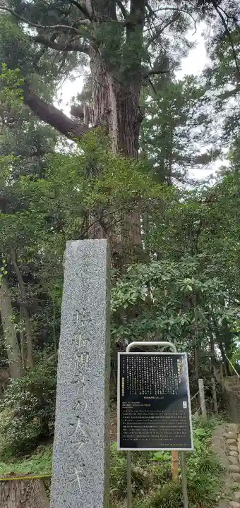 塩船観音寺(東京都)