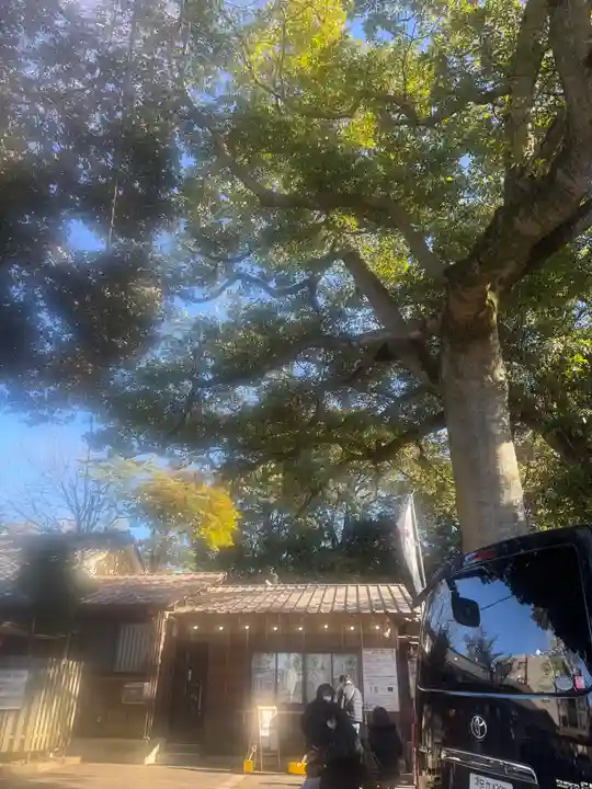 大宮・大原神社(千葉県)