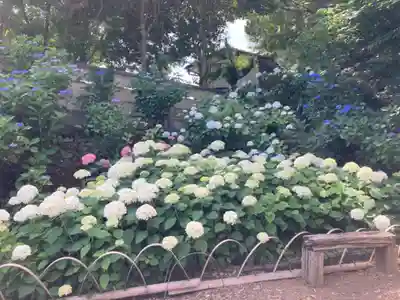 竹原神社(茨城県)