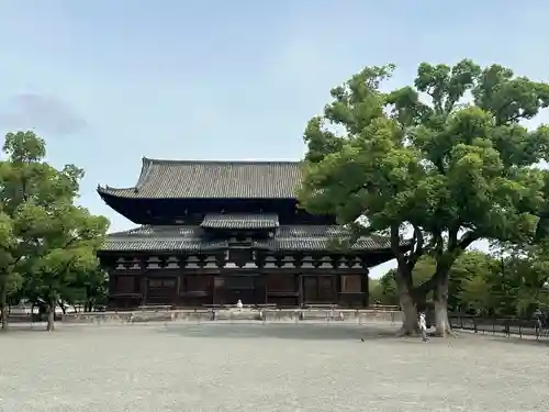 東寺（教王護国寺）(京都府)