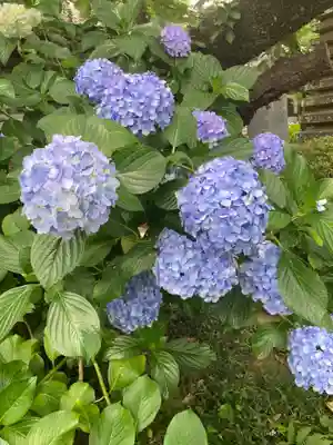 妙楽寺(神奈川県)