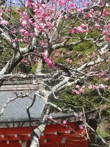 荏柄天神社のその他建物