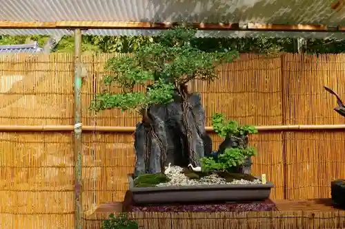 光明寺（粟生光明寺）のその他建物