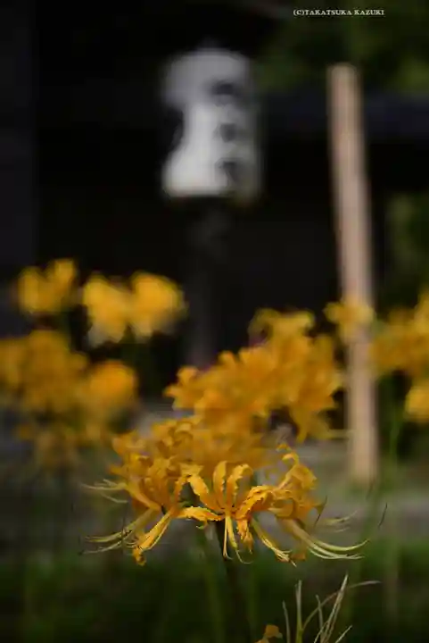横浜 西方寺(神奈川県)