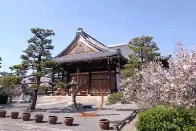 妙蓮寺(京都府)