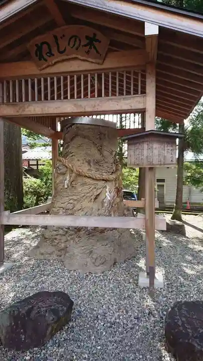 飛驒一宮水無神社の自然