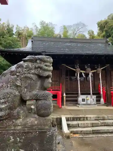 金井神社の狛犬