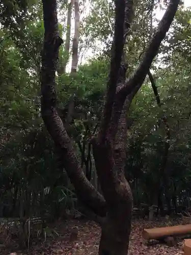 静火神社の自然